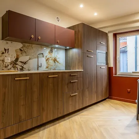 Chic & Spacieux Hyper-centre C Clermont-Ferrand